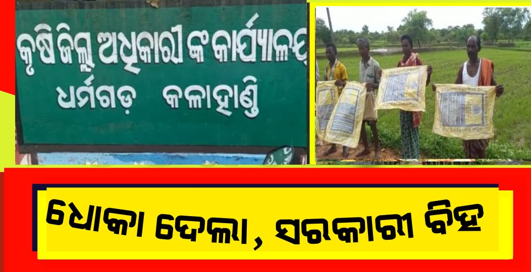 ଧୋକା ଦେଲା, ସରକାରୀ ବିହନ