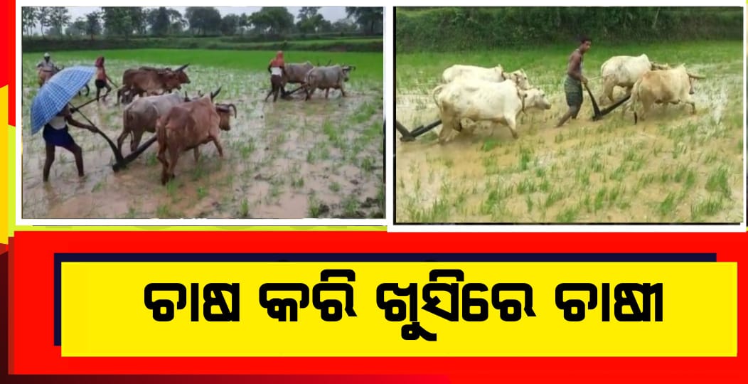 ଚାଷ କରି ଖୁସିରେ ଚାଷୀ
