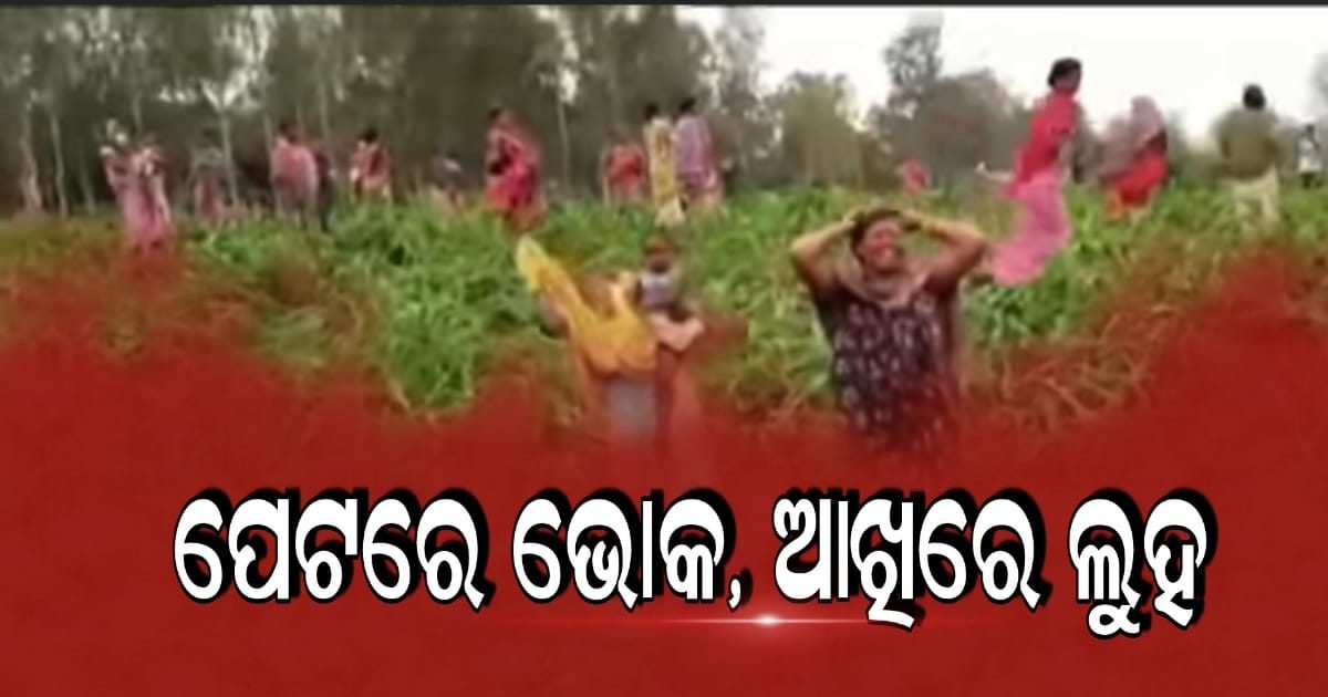 ପେଟରେ ଭୋକ, ଆଖିରେ ଲୁହ