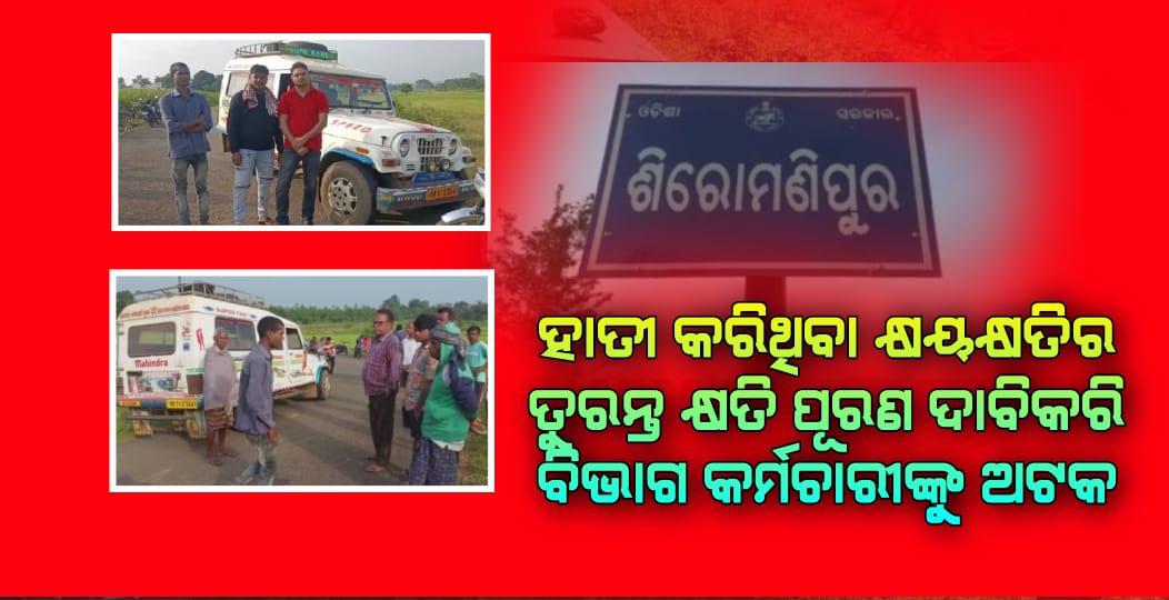ହାତୀ କରିଥିବା କ୍ଷୟକ୍ଷତିର ତୁରନ୍ତ କ୍ଷତି ପୂରଣ ଦାବିକରି ବିଭାଗ କର୍ମଚାରୀଙ୍କୁ ଅଟକ