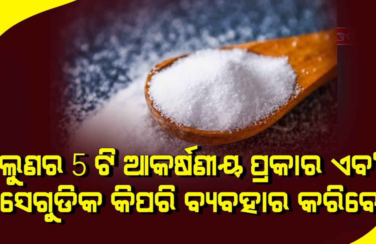 ଲୁଣର 5 ଟି ଆକର୍ଷଣୀୟ ପ୍ରକାର ଏବଂ ସେଗୁଡିକ କିପରି ବ୍ୟବହାର କରିବେ |