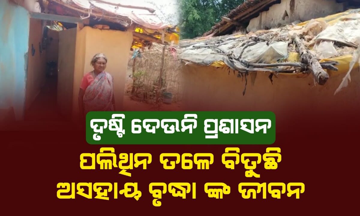 ଦୃଷ୍ଟି ଦେଉନି ପ୍ରଶାସନ, ପଲିଥିନ ତଳେ ବିତୁଛି ଅସହାୟ ବୃଦ୍ଧା ଙ୍କ ଜୀବନ