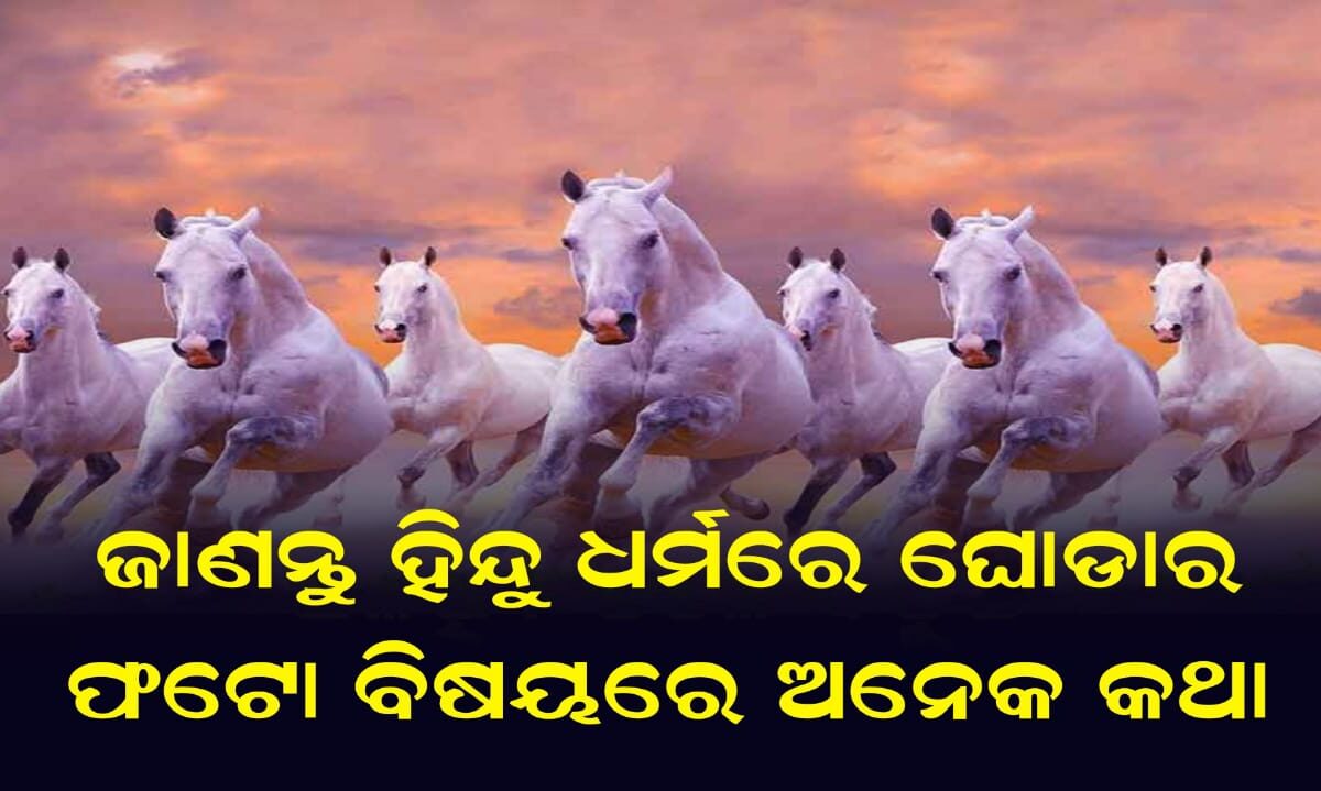 ଜାଣନ୍ତୁ ହିନ୍ଦୁ ଧର୍ମରେ ଘୋଡାର ଫଟୋ ବିଷୟରେ ଅନେକ କଥା
