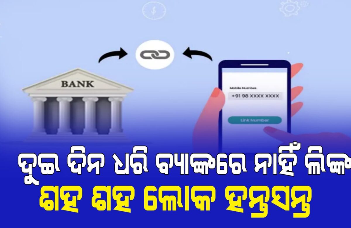 ଦୁଇ ଦିନ ଧରି ବ୍ୟାଙ୍କରେ ନାହିଁ ଲିଙ୍କ ନଥିବାରୁ ଶହ ଶହ ଲୋକ ହନ୍ତସନ୍ତ