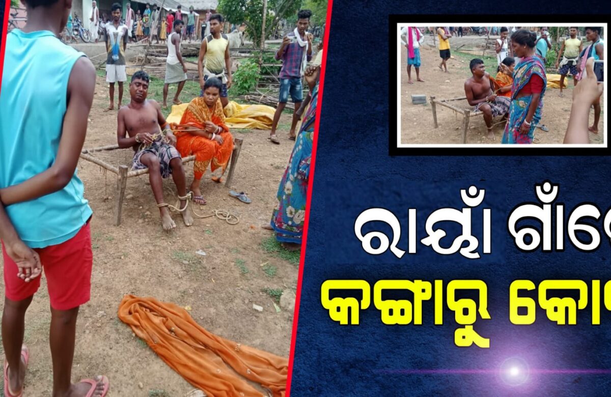 ରାୟାଁ ଗାଁରେ କଙ୍ଗାରୁ କୋର୍ଟ