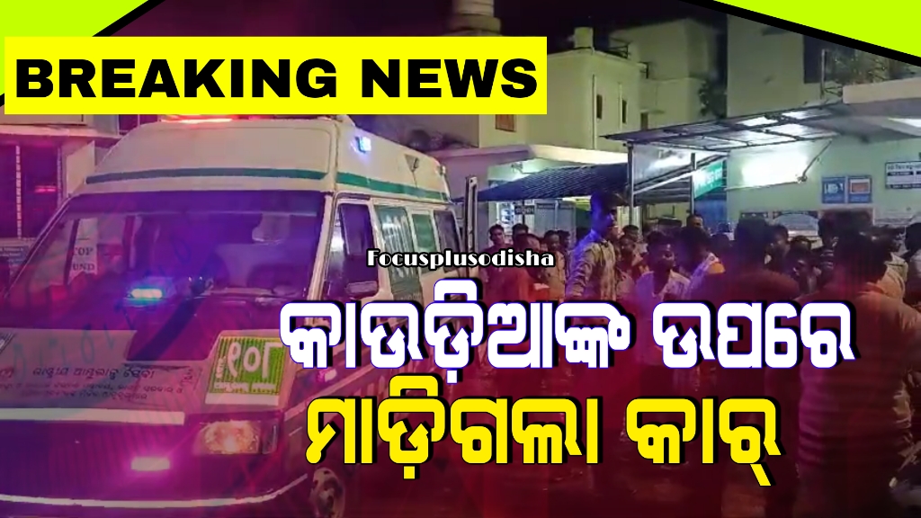 କାଉଡ଼ିଆଙ୍କ ଉପରେ ମାଡ଼ିଗଲା କାର୍