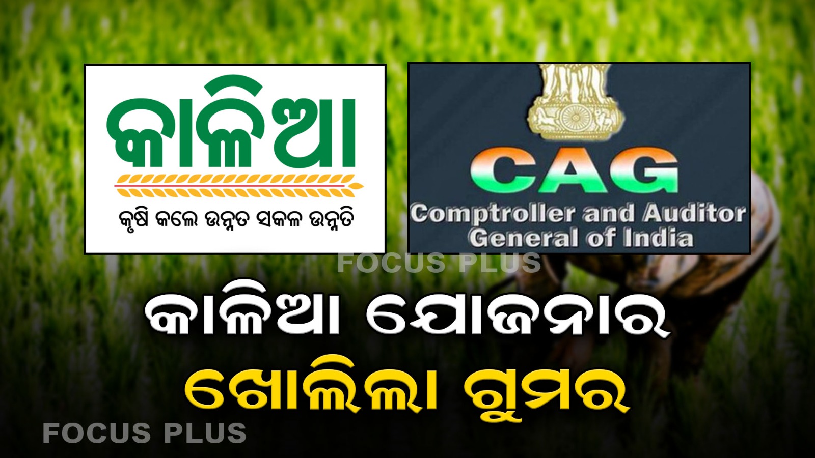 CAG Report : ଆସିଲା ସିଏଜି ରିପୋର୍ଟ : ଖୋଲିଲା କାଳିଆ ଯୋଜନା ଗୁମର