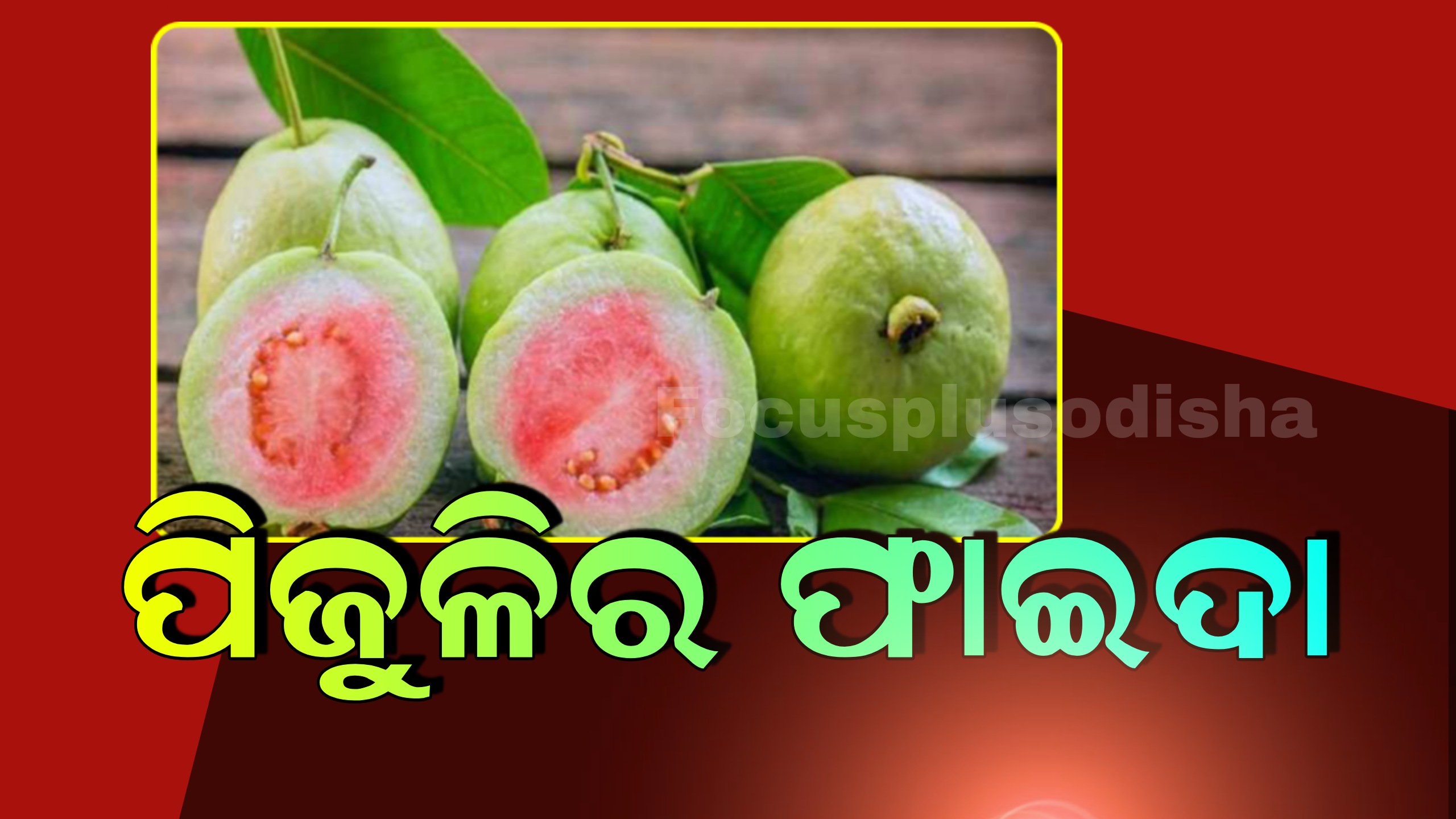ମଧୁମେହ ରୋଗୀଙ୍କ ପାଇଁ ପିଜୁଳି  କେତେ ଉପକାରୀ ପଢ଼ନ୍ତୁ ଓ ଆପଣାନ୍ତୁ ଏହି ଟିପ୍ସ …