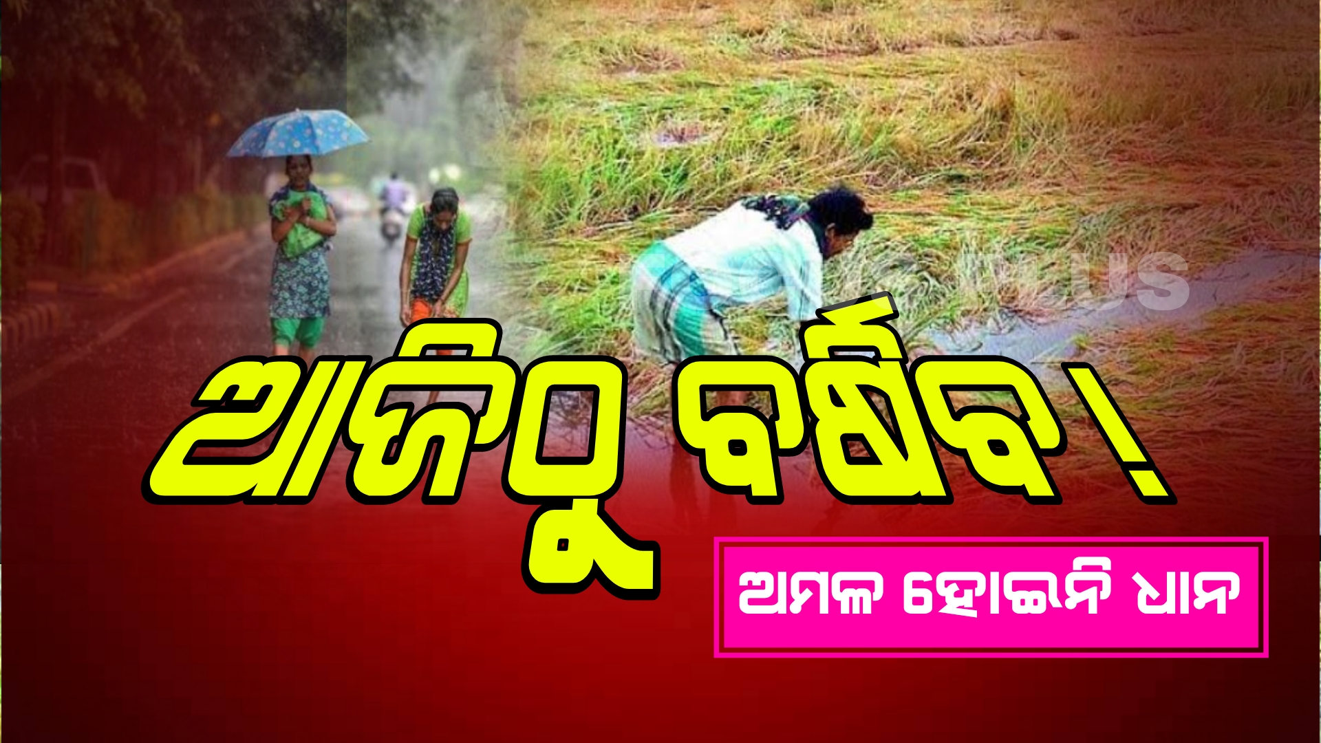 ଆଜିଠୁ ଆସନ୍ତା ୨ ଦିନ ପର୍ଯ୍ୟନ୍ତ ରାଜ୍ୟରେ ବର୍ଷା ହେବାର ସମ୍ଭାବନା ରହିଛି।
