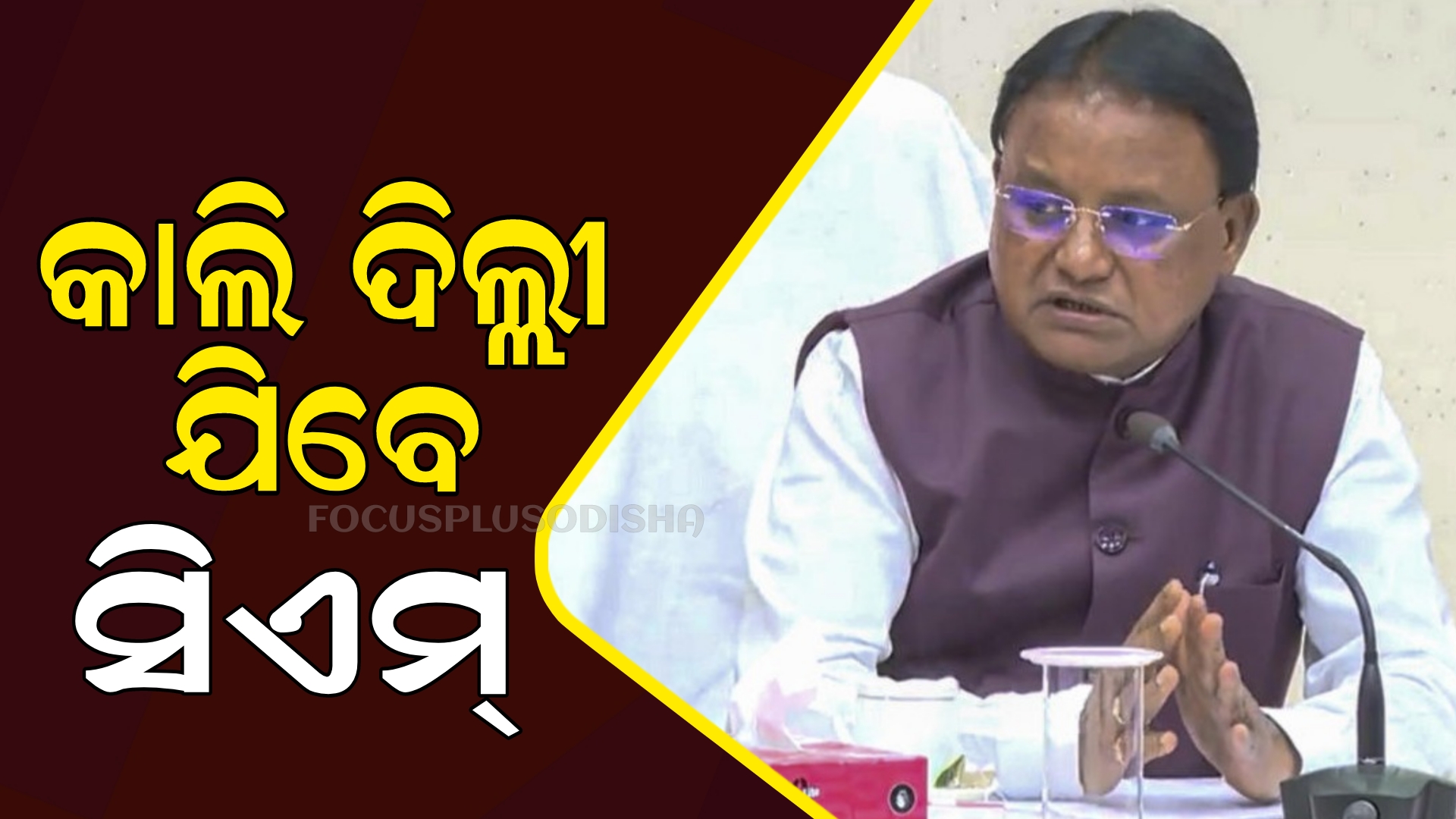 ଆସନ୍ତା କାଲି ଦିଲ୍ଲୀ ଗସ୍ତରେ ଯିବେ ମୁଖିଆ ।