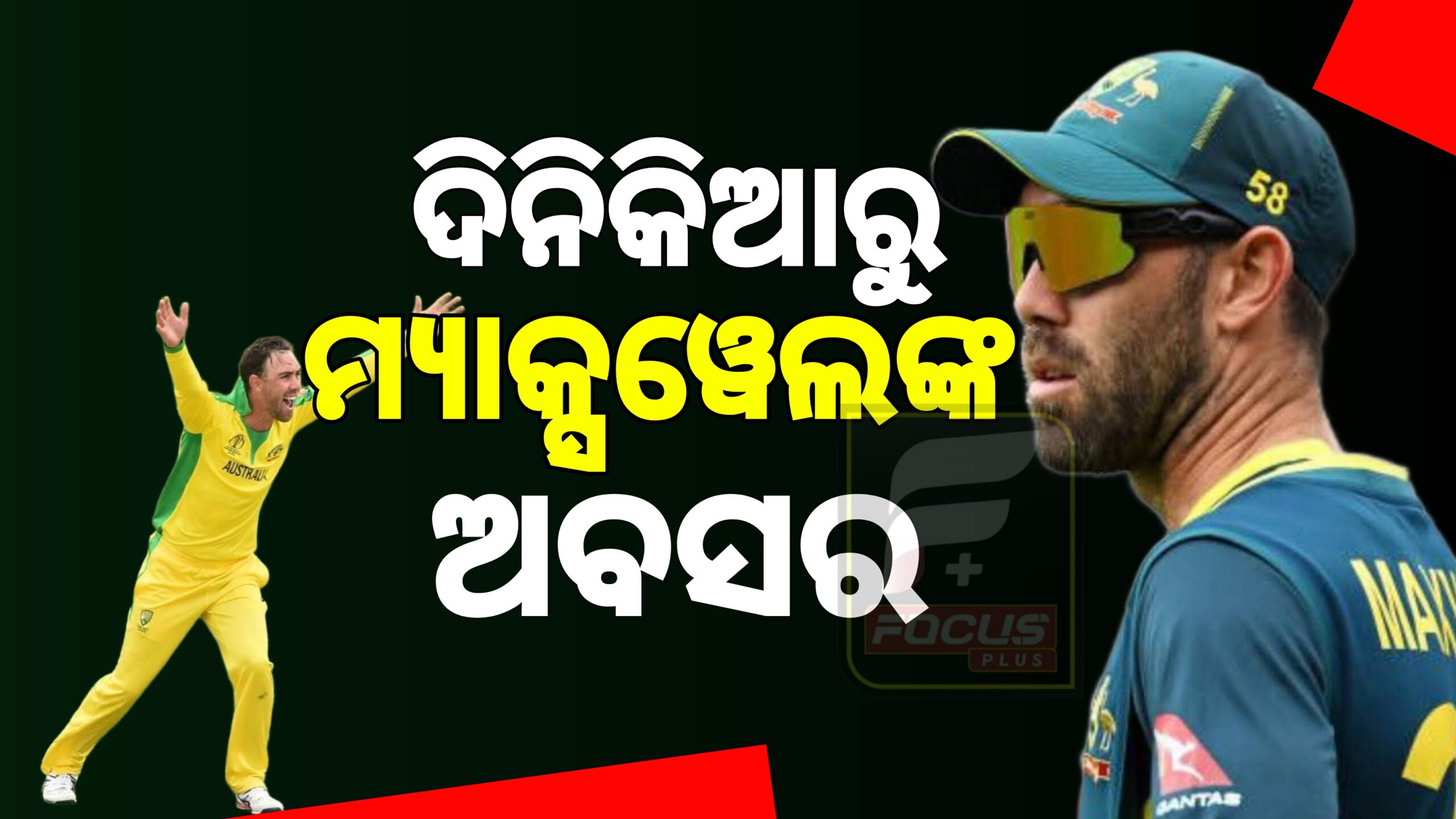 ଦିନିକିଆରୁ ଅବସର ନେଲେ ଗ୍ଲେନ୍‌