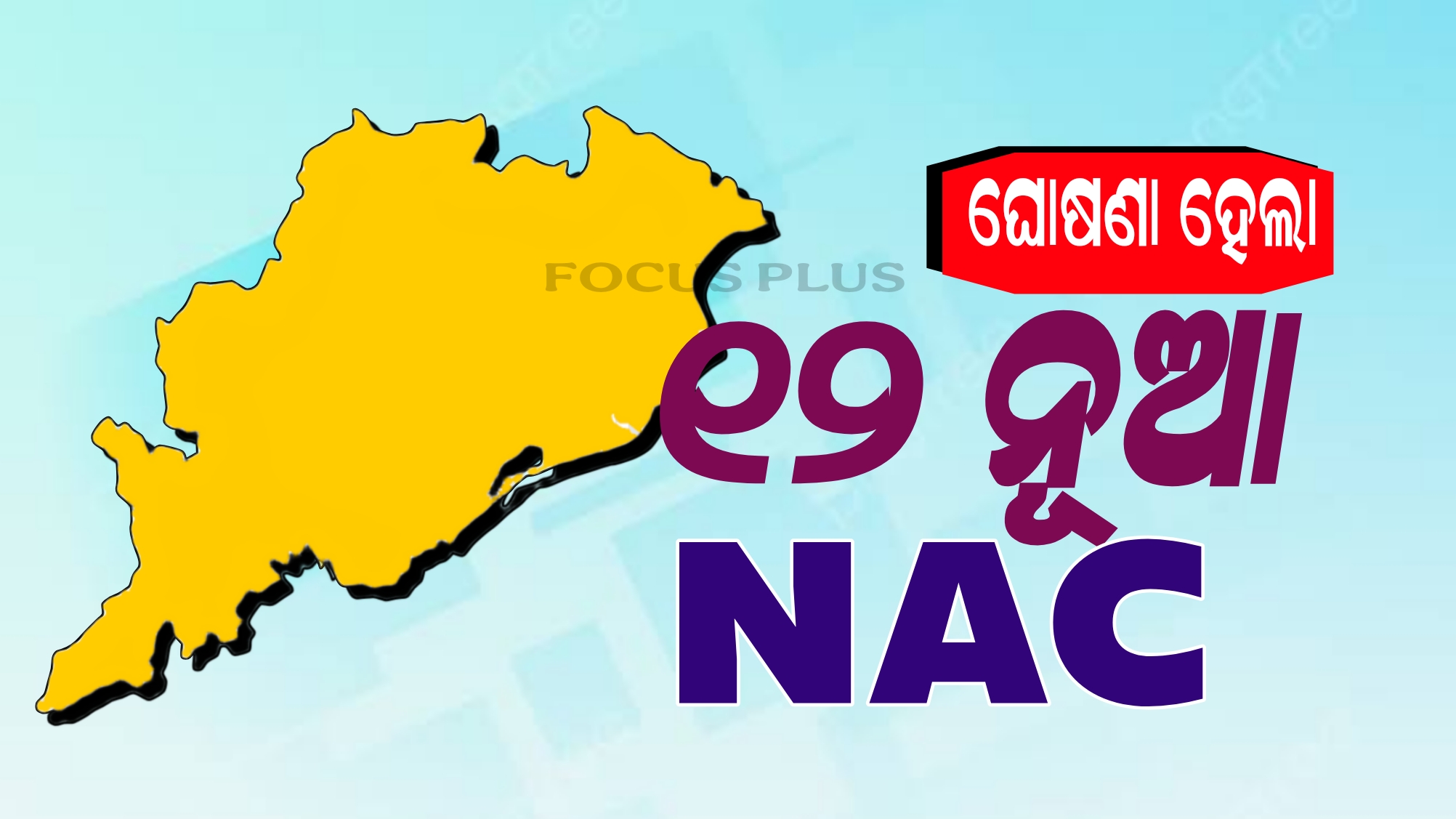 ଘୋଷଣା ହେଲା ୧୨ ନୂଆ NAC