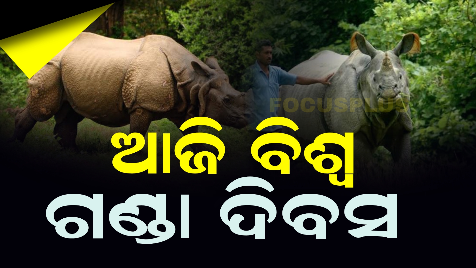 ୯ ବର୍ଷ ହେଲା ନନ୍ଦନକାନନରେ ଗଣ୍ଡା ଦେଖାନାହିଁ।